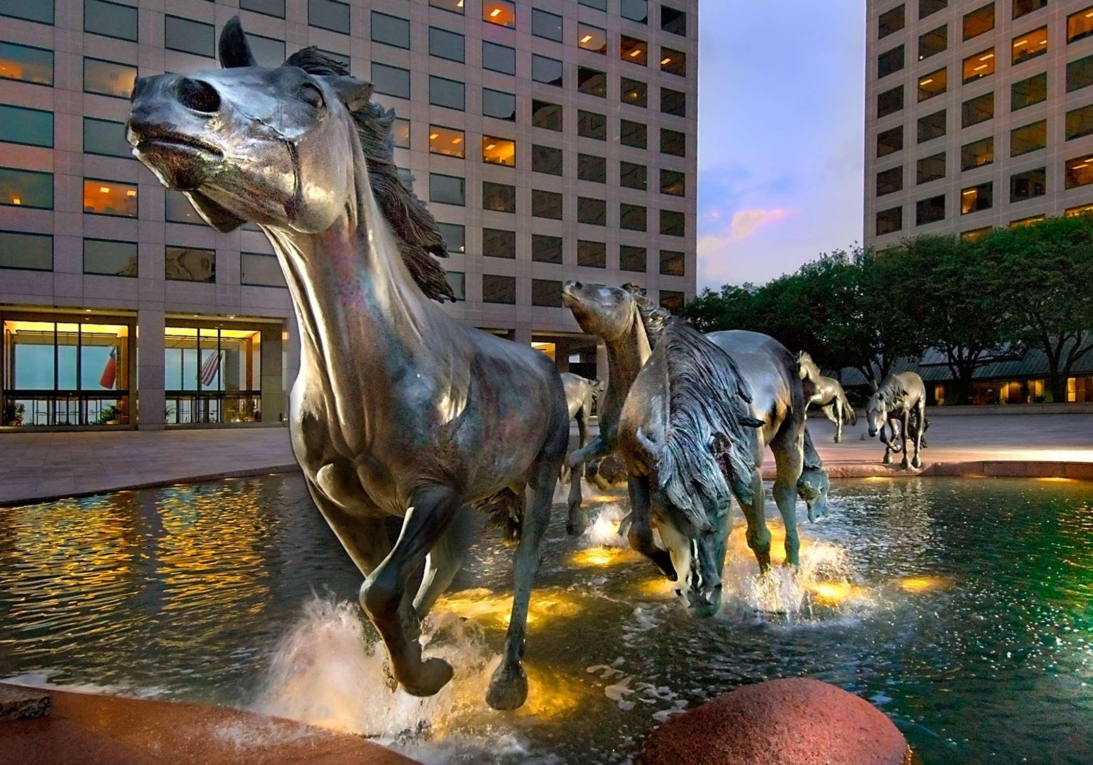 Hilton Garden Inn Dfw Airport South Irving Exteriör bild